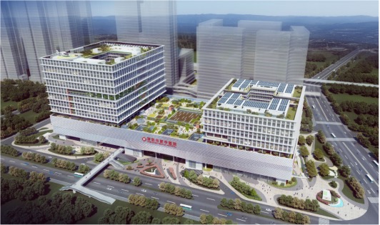 深圳市新華醫(yī)院